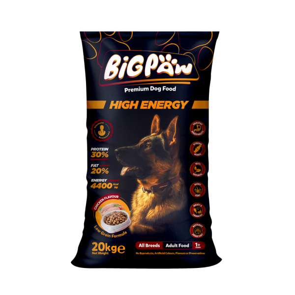 Big Paw High Energy